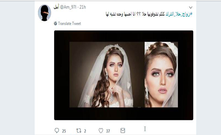 تعرّفي على حقيقة زواج حلا الترك